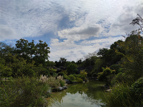 炮台湾湿地公园的矿坑花园